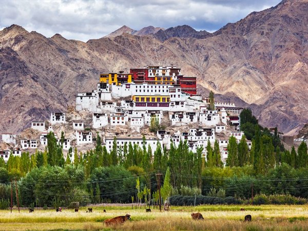 Leh tour packages